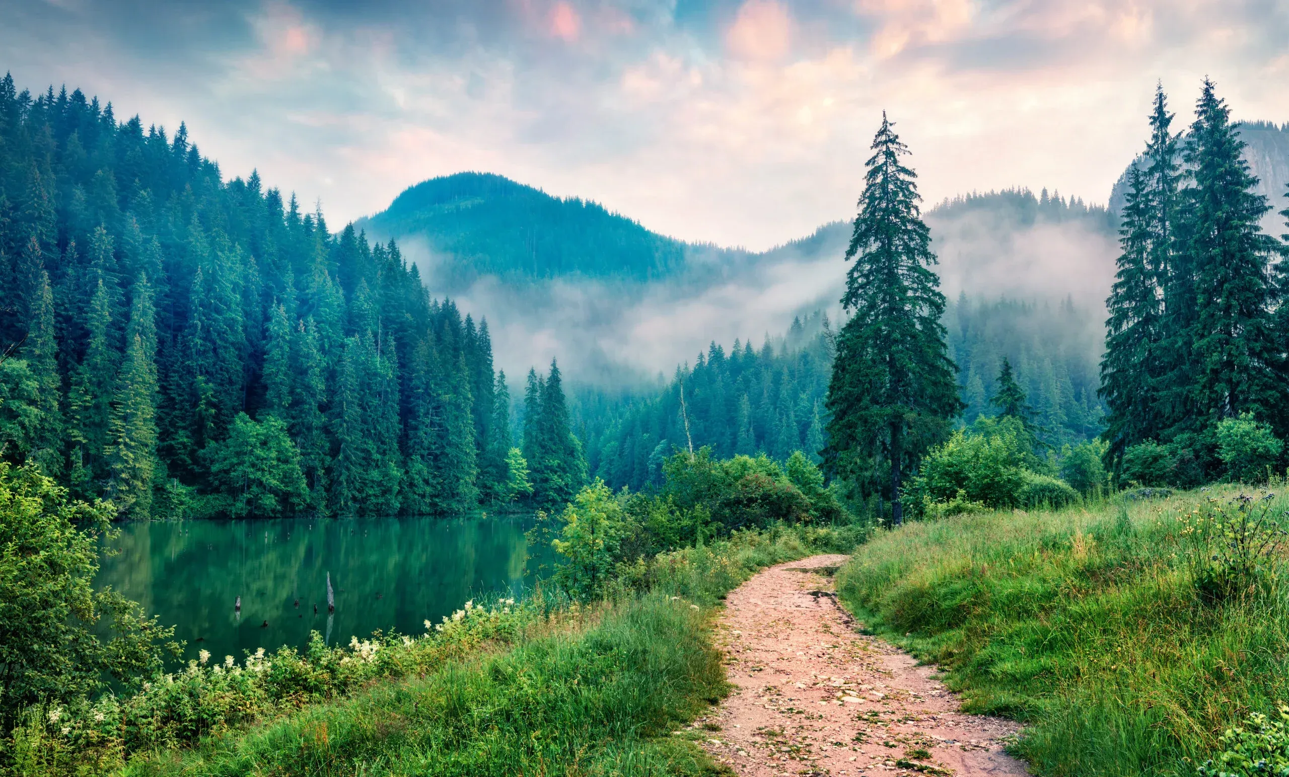 Nature-path-by-water-trees-and-mountains-AdobeStock_291242770-scaled